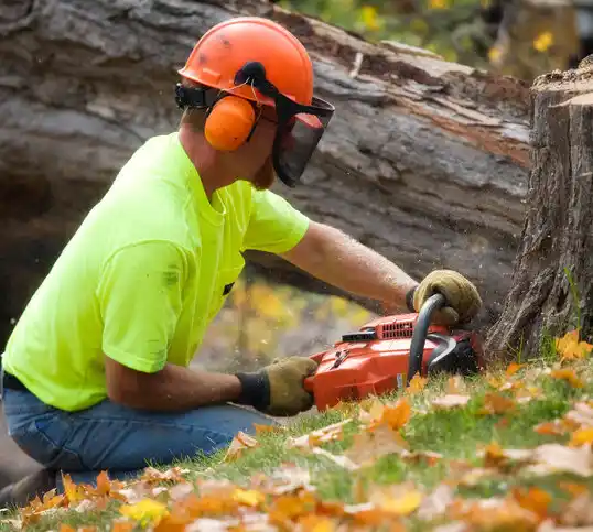 tree services North Caldwell